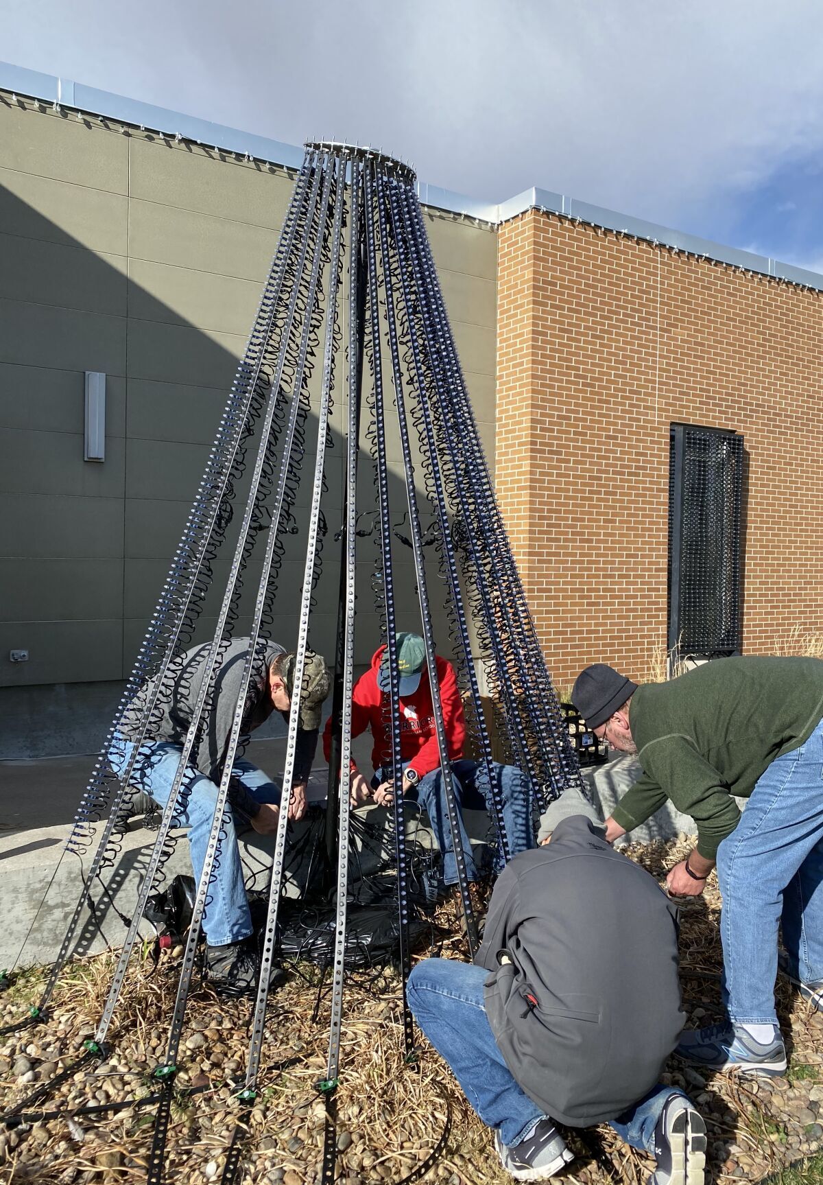Setting up tree outside